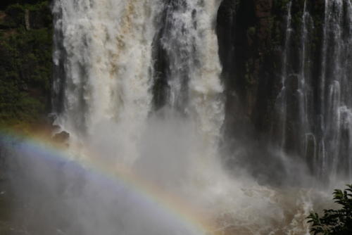 Chutes d'Iguaçu (15)