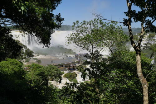 Chutes d'Iguaçu (17)