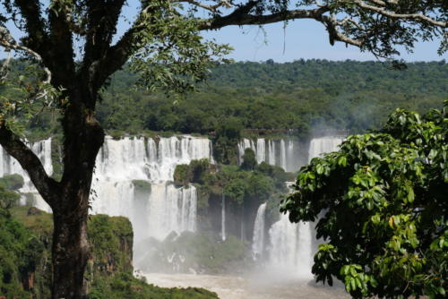 Chutes d'Iguaçu (8)