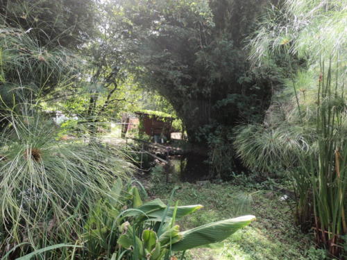 Djanbung Gardens