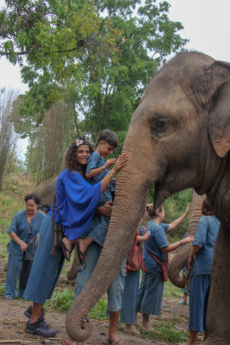 Feeding elephants (10)
