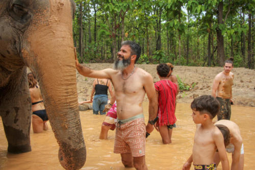 Mud bath with elephants (3)