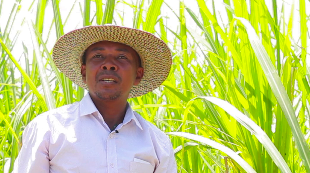 VIDEO # MADAGASCAR Produire du sucre biologique à Madagascar, Coopérative PAACO